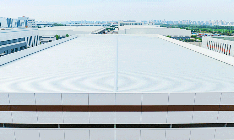 Wiskind Single-Skin Metal Roof