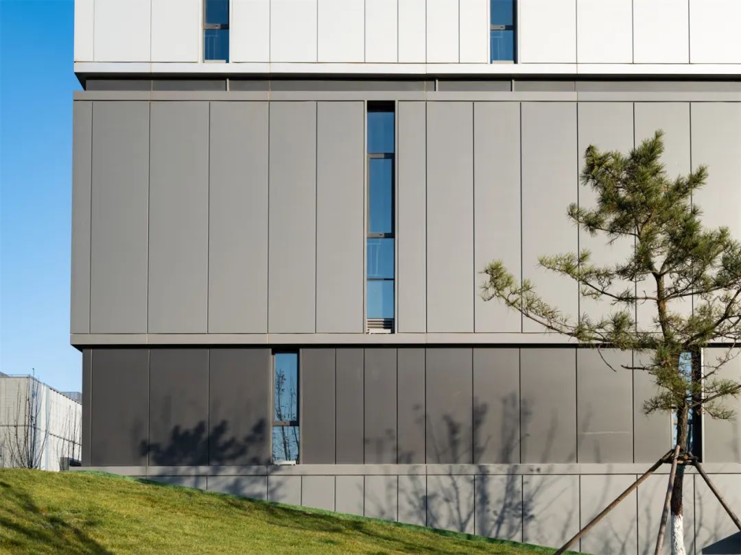 Wiskind delivers within 30 days, empowering the curtain wall aesthetics of the Huan Cishan project!(图9)