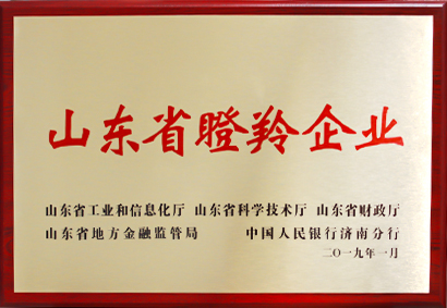 山东省瞪羚企业