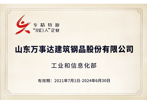 国家级专精特新小巨人企业